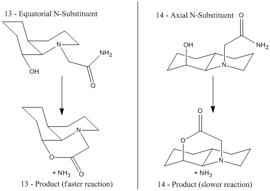"Products from the intramolecular reaction of the amides"