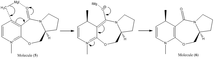 File:Mechanism (Grignard Reaction).png