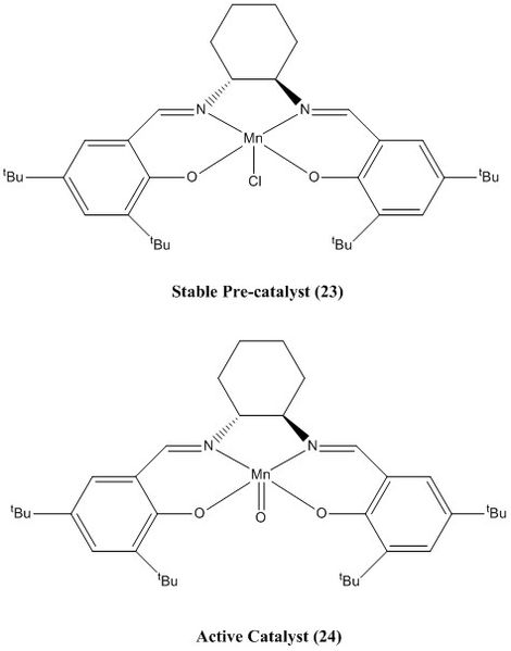 File:Jacobsen Cat.jpg