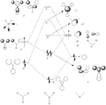 Thumbnail for version as of 13:08, 18 October 2012