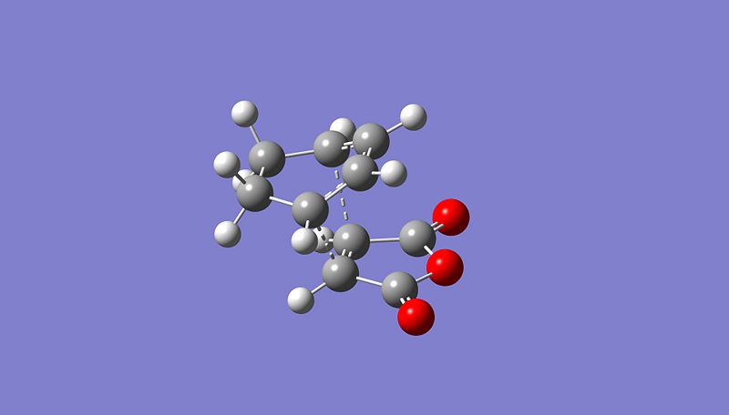 File:Jlm endo TS.jpg