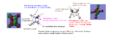Thumbnail for version as of 12:39, 3 May 2019