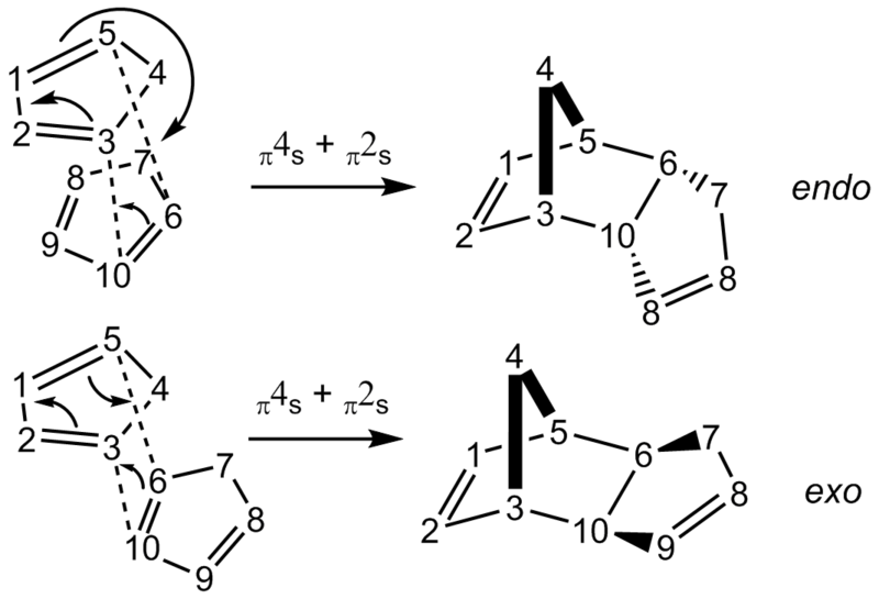 File:Endo and exo dimer label.png