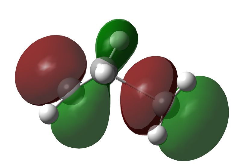 File:Mwh 631homo1.jpg