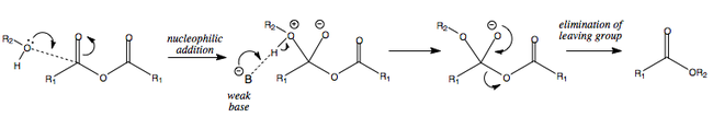 Mechanism for the reaction of an anhydride and an alcohol