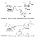 Thumbnail for version as of 08:00, 8 December 2008