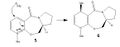 Thumbnail for version as of 12:31, 20 October 2010
