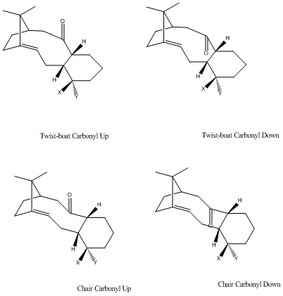 File:Different isomers of reactive intermediate.bmp
