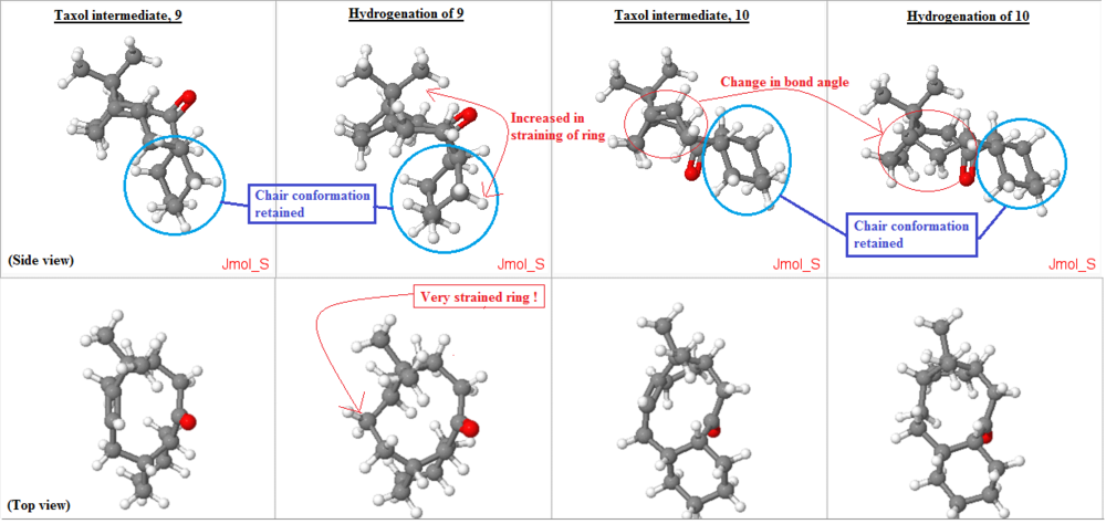 Figure_4_taxol