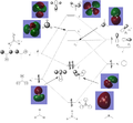 Thumbnail for version as of 15:46, 24 January 2014
