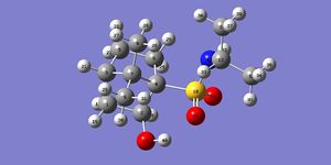 Numbering of atoms in the 2-hydroxy-1-norbornane compound being investigated