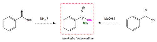 Why amides do not form esters, but esters form amides.