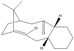 File:Cg50710.bmp