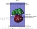 Thumbnail for version as of 17:57, 5 March 2014