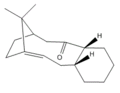 Thumbnail for version as of 21:49, 1 March 2012