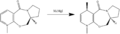 Thumbnail for version as of 16:50, 18 January 2011