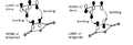 Thumbnail for version as of 04:48, 18 February 2012
