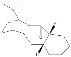 File:Roguezimbotaxoldownh2.bmp