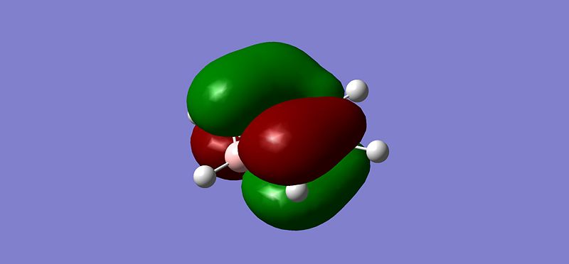 File:Jlm bora homo-1.jpg