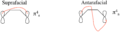 Thumbnail for version as of 23:47, 13 February 2018