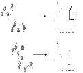 Thumbnail for version as of 04:03, 21 October 2011