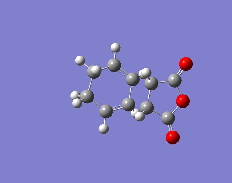 File:Endo TSBerny OPT image.jpg