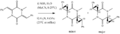 Thumbnail for version as of 16:02, 24 January 2011
