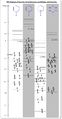 Thumbnail for version as of 15:10, 16 October 2013