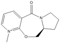 Thumbnail for version as of 16:26, 29 January 2011