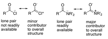 Carboxylic Acid Derivatives and the delocalisation