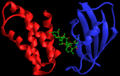 Thumbnail for version as of 13:51, 27 November 2007