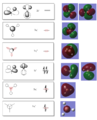 Thumbnail for version as of 22:34, 18 November 2014