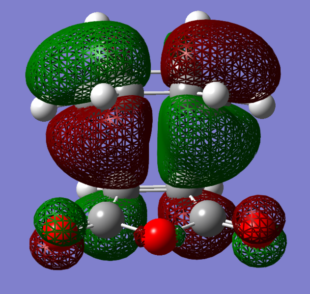File:EndoHOMOam2912.png