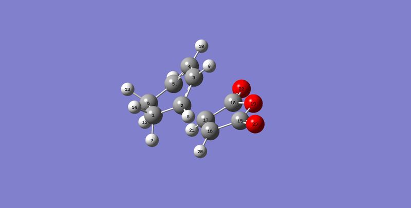 File:Endo Lables.jpg
