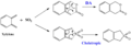 Thumbnail for version as of 01:38, 19 October 2017