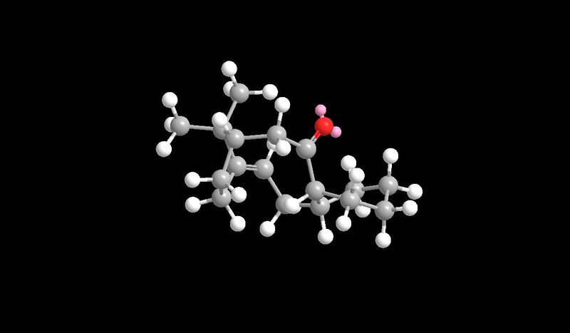 File:Taxol Isomer 10.2 twist chair.jpg