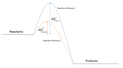 A Reaction Coordinate Diagram