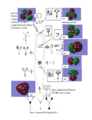Thumbnail for version as of 17:42, 23 May 2019