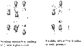 Thumbnail for version as of 13:06, 29 January 2011