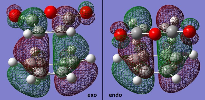 File:OGD13 exoandendohomo2.jpg