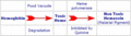 Thumbnail for version as of 15:20, 8 December 2006