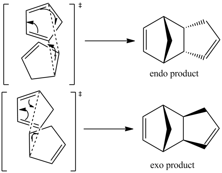 File:Nb endo exo formation.png
