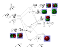 Thumbnail for version as of 11:55, 18 November 2014