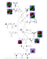 Thumbnail for version as of 09:49, 1 May 2019