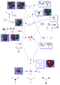 Thumbnail for version as of 17:28, 18 December 2014
