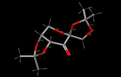 Shi's catalyst crystal structure