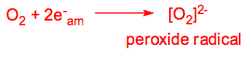 Reducing agent solution.