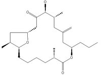It:Amphidinolide T1