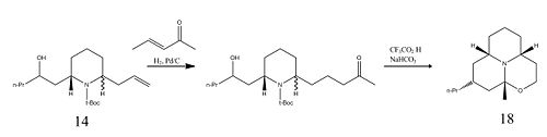 Stereochemistry of Molecules 17 and 18