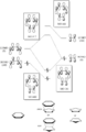 Thumbnail for version as of 15:15, 25 January 2017